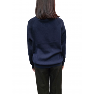 Pull col V cachemire laine Intérieur baya W1R 480N N11053 49 femme boutique Algorithme Strasbourg Boutique Online 